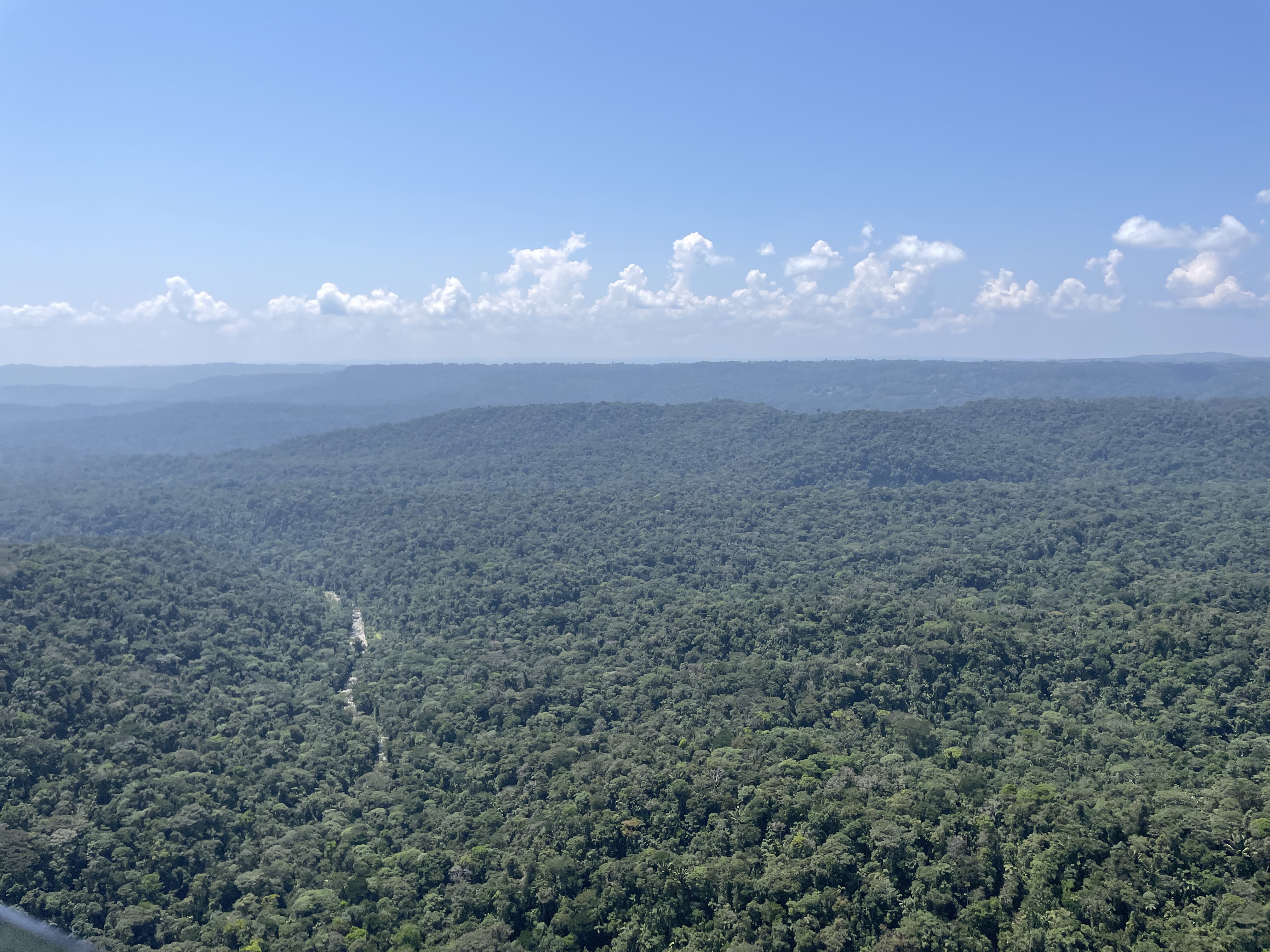 Equipo C&A en proyecto de campo